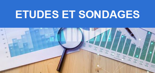Le d&eacute;partement ETUDES & SONDAGES d'Open Soft System r&eacute;alise depuis 1992 des &eacute;tudes et sondages d'opinions pour les principaux op&eacute;rateurs publics, para-piblics et priv&eacute;s de la Guadeloupe, de la Guyane et de la Martinique.	  Il intervient &eacute;galement pour r&eacute;pondre aux interrogations commerciales ou marketing des petites et moyennes entreprises de la r&eacute;gion.    Ces &eacute;tudes et sondages concernant &agrave; la fois les &eacute;tudes de march&eacute;, des &eacute;tudes de faisabilit&eacute; technique et commerciale, des &eacute;tudes qualitatives de types entretiens non-directifs ou focus-group, des &eacute;tudes par sondages t&eacute;l&eacute;phoniques, en face &agrave; face ou en sortie de caisse.