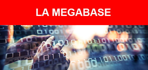La megabase